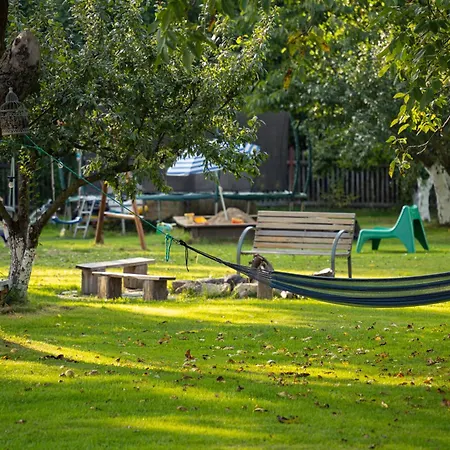 营地 Izera Camper - Rv-camper Site&service - Plac Kamperowy, Stellplatz