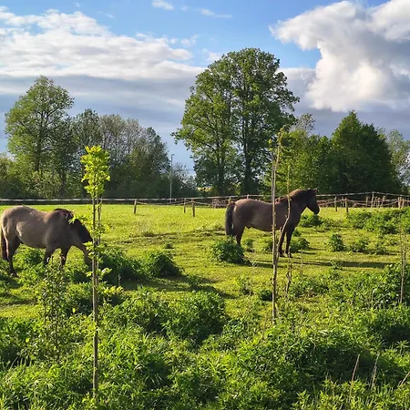 Izera Camper - Rv-camper Site&service - Plac Kamperowy, Stellplatz *